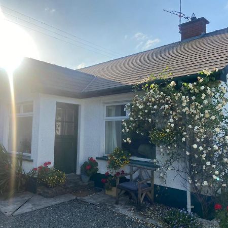 Hawthorn Cottage Greencastle  Zewnętrze zdjęcie