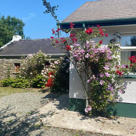 Hawthorn Cottage Greencastle  Zewnętrze zdjęcie