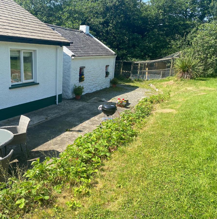Hawthorn Cottage Greencastle  Zewnętrze zdjęcie