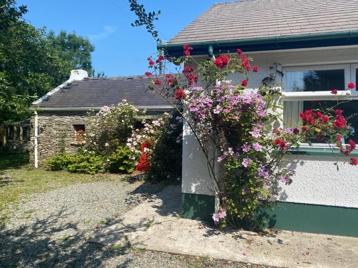 Hawthorn Cottage Greencastle  Zewnętrze zdjęcie